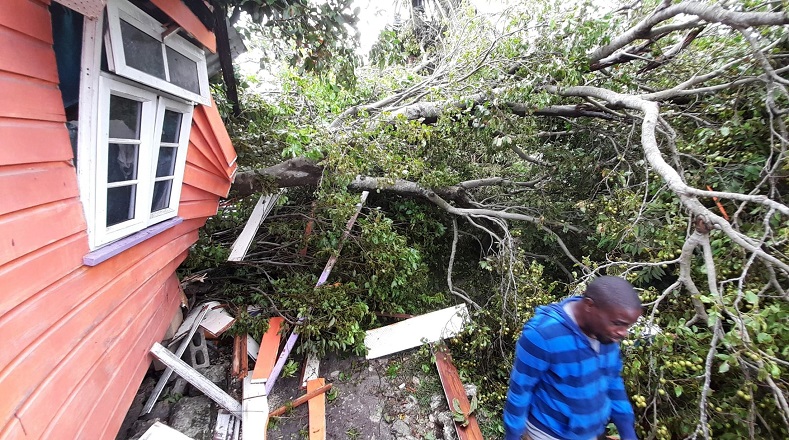 Sin embargo, en su recorrido por países del Caribe, Elsa provocó serios daños en las viviendas de Haití, Barbados y Jamaica. Además, hubo problemas en el servicio eléctrico y caída de árboles en varias zonas.