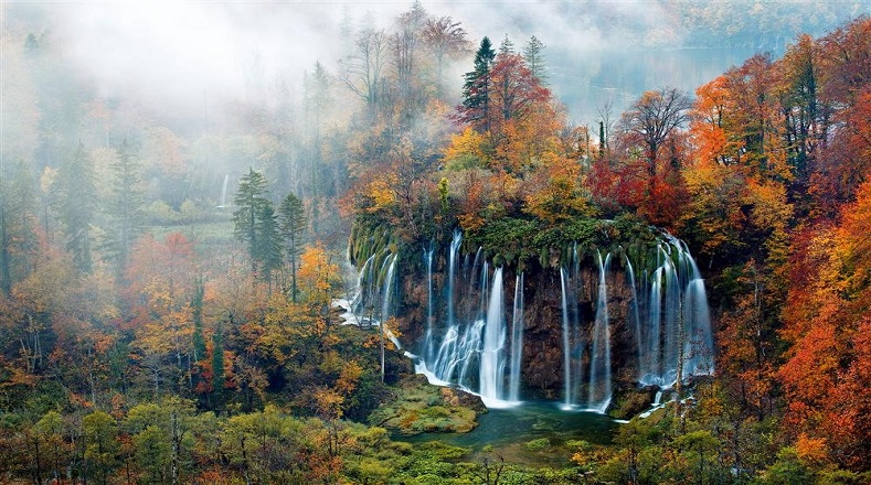 Parque Nacional de Los Lagos de Plitvice, Croacia. Los bosques también son una pieza clave en el abastecimiento de agua dulce, ya que sirven de filtros naturales para los seres vivos.