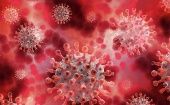El virus puede mutar y acoplarse de forma más eficiente a la puerta de entrada de la célula y escapar del encaje con anticuerpos neutralizantes.
