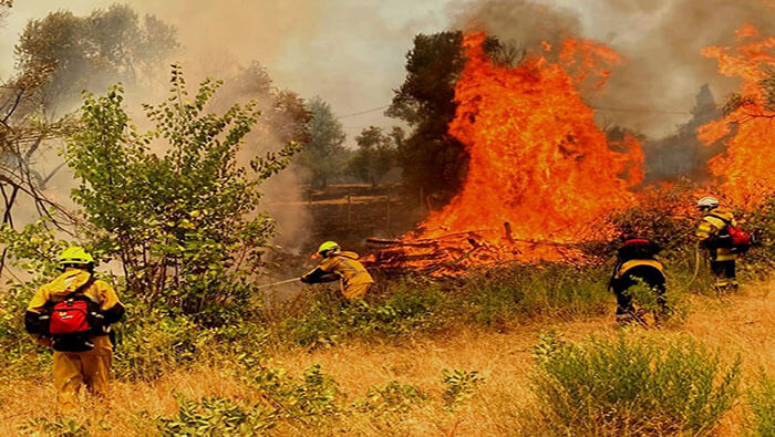 Bomberos franceses luchan contra el incendio forestal que afecta el sur del país.