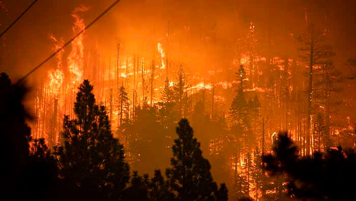 La región oeste de EE.UU., enfrenta una de las peores temporadas de incendios con más de 7.000 kilómetros cuadrados destruidos hasta agosto.
