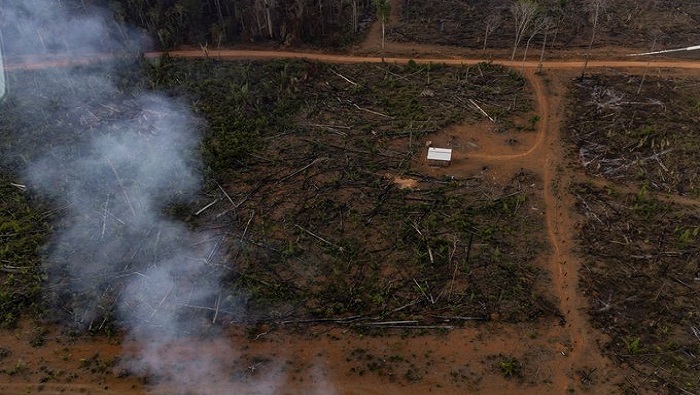 La situación medioambiental en Brasil en los últimos años ha sufrido un deterioro cada vez más creciente.