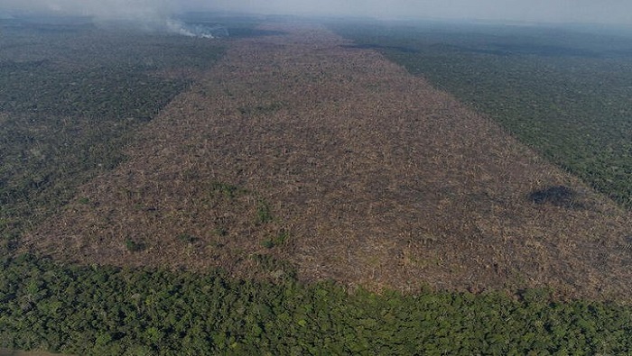 La Amazonía brasilena presenta una pérdida de superficie de bosque mayor que la que mide la ciudad de Río de Janeiro.