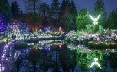 Festival de Luces ilumina el Jardín VanDusen de Vancouver