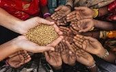 Según el informe de FAO, 141 millones de personas padecía una inseguridad alimentaria moderada o grave en 2020.