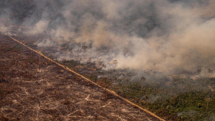 La degradación forestal aumentó 55 por ciento en las Tierras Indígenas en 2021.