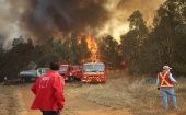 Comparados con las 6000 hectáreas consumidas por incendios en 2020, la cifra de este año la supera casi cuatro veces.