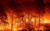 Las áreas quemadas por incendios en 2021 en Chile han superado a las de 2020 en un 380 por ciento.