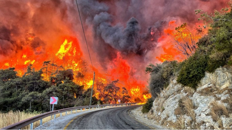 Los incendios en Turquía en agosto destrozaron más de 160.000 hectáreas, arrasando con los medios de subsistencia de miles de personas.