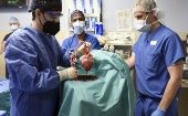 German Scientists to perform heart transplants from genetically modified pigs. Feb. 4, 2022.