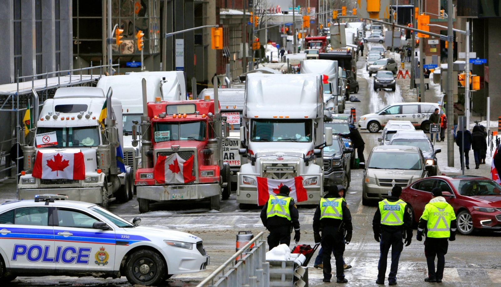 Los camioneros pudieran ser suspendidos, retiradas sus licencias y hasta enfrentar juicios por actos ilegales a tenor de la Ley de la provincia de Ontario.
