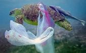 La disminución del consumo de bolsas pláticas u otros objetos puede contribuir a contrarrestar la contaminación del mar.