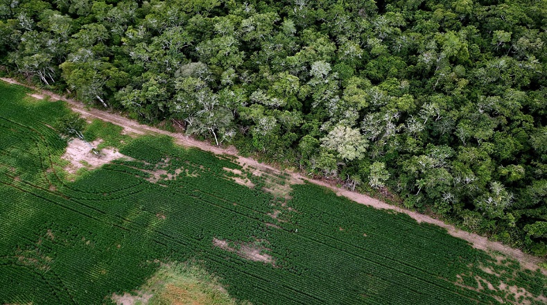 Brasil, Indonesia, República Democrática del Congo y Bolivia encabezaron la relación de países con mayor superficie boscosa deforestada en 2020.