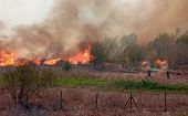 El incendio estalló en la tarde del miércoles y avanzó muy rápido en medio bosques y quebradas.