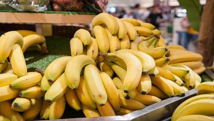 Ecuador,  es considerado uno de los mayores productores y exportadores de la fruta en el mundo.