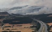 Hay un estimado de 25.000 hectáreas de bosque afectadas por los incendios en la Sierra de Culebra, Castilla La Mancha.
