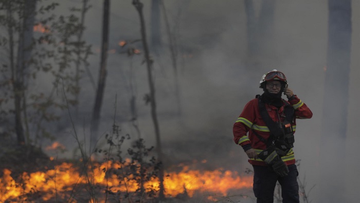 Más de 2.000 socorristas y bomberos portugueses trabajan en las zonas afectadas.
