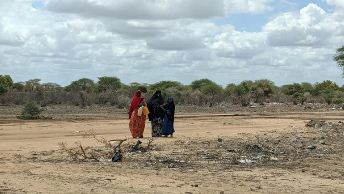 En junio pasado, ACNUR anunció que necesita 9,5 millones de dólares para Somalia, como parte de su llamamiento regional para el Cuerno de África.