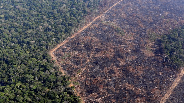 Movimientos ambientalistas han advertido que la devastación de la Amazonía brasileña ha aumentado considerablemente en los últimos cuatro años.