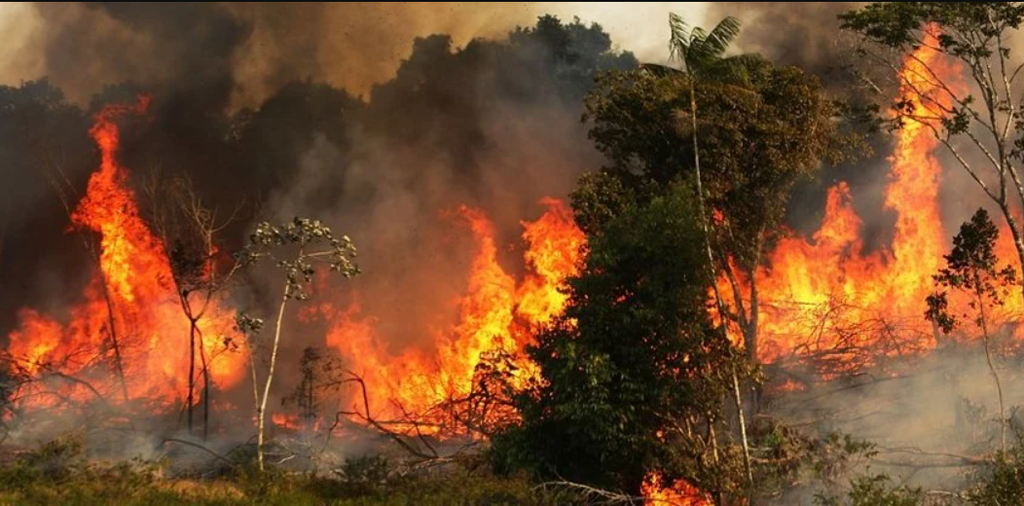 La nube de humo derivada de los incendios forestales ha afectado la calidad del aire en Manaos y otras ciudades de la Amazonia.