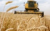 El conflicto en Ucrania ha reducido drásticamente las exportaciones de trigo en el mundo.