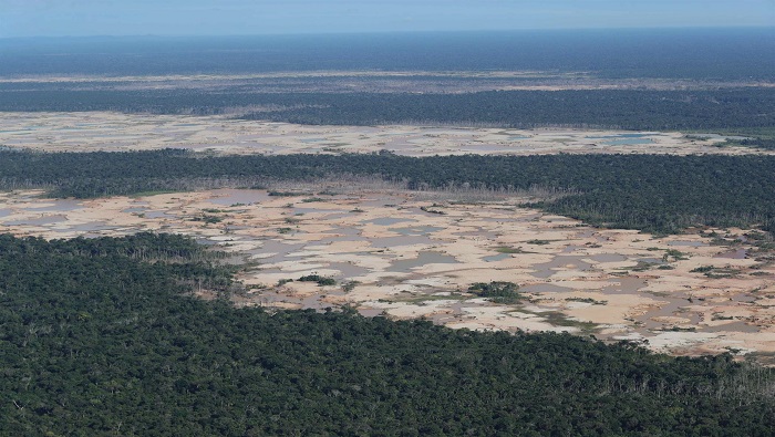La superficie de vegetación perdida en la Amazonía brasileña equivale ocho veces a la superficie de São Paulo, la ciudad más grande de Latinoamérica.