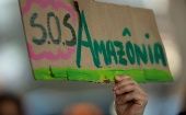 El Instituto Socioambiental aseguró en su informe anual que la administración de Bolsonaro “significó el mayor retroceso ambiental del siglo".