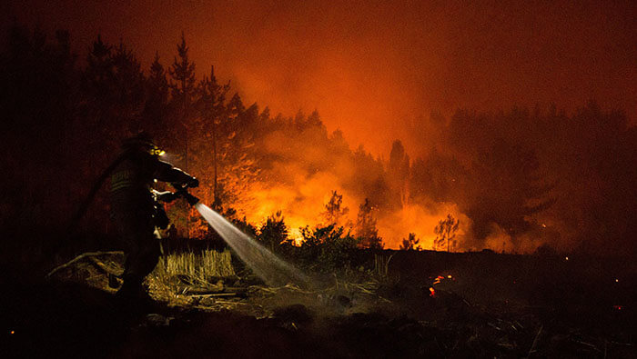 De los 204 incendios activos en Chile, 56 están fuera de control.