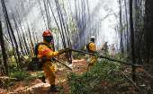 Varios países latinoamericanos como México, Brasil, Colombia, Venezuela, Argentina y España enviaron bomberos para apoyar a los brigadistas chilenos 