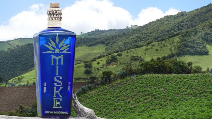 El Miske es una bebida alcohólica elaborada con agaves que se producen en la región andina del Ecuador.