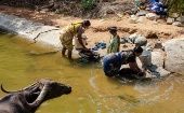 Problemas de acceso a agua potable y saneamiento básico resultan la causa principal de las epidemias de cólera, agravadas por los conflictos y movimientos de personas que implican.
