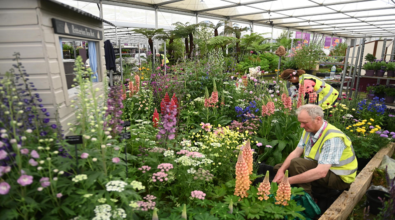 La Real Sociedad de Horticultura Británica organiza el evento, que es considerado el mayor evento primaveral por excelencia del país.