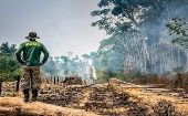  La Amazonía brasileña perdió en los seis primeros meses de 2022 alrededor de 3.988 kilómetros.