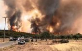 Miles de turistas fueron evacuados de hoteles en la isla de Rodas el sábado mientras un incendio forestal en Grecia continuaba extendiéndose a los asentamientos debido a los fuertes vientos.