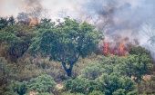 El incendio forestal que alcanza el nivel uno de peligrosidad apunta a una progresión favorable.