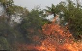 El coordinador del Centro de Operaciones de Emergencia Nacional del Instituto Nacional de Defensa Civil, Ricardo Pajares del Carpio, detalló que el incendio forestal ya está controlado. 