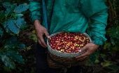 El café se suma a los productos que han sido dañados por los efectos del fenómeno El Niño en El Salvador, lo que se agrava por el cambio climático.