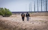 Según la OIM, la cifra representa casi la mitad de las 1.457 muertes y desapariciones de migrantes registradas en las Américas en 2022.