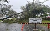 Los vientos asociados a Lee han derribado un gran número de árboles y tramos del tendido eléctrico.