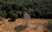 Deforestation in the Brazilian Amazon, 2023.