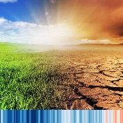 La desidia del Norte global ante el cambio climático