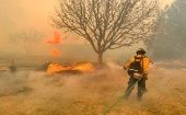 El Servicio Forestal de Texas anunció que un 15 por ciento del fuego está contenido, y luchan para extinguir todos los focos activos.