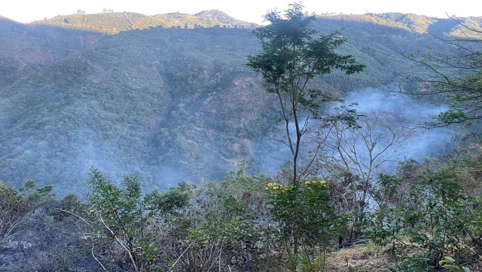 Costa Rica implementó el martes la campaña Yo Protejo los Bosques para prevenir y denunciar los incendios forestales.