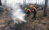 Las autoridades han indicado que se han controlado 90 incendios forestales a nivel nacional.