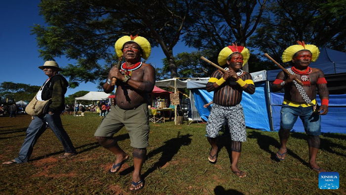 Indígenas brasileños exigen sus derechos ancestrales.