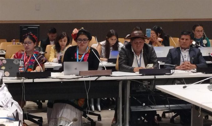 Indigenous women expressing their rights in international debates, April 24, 2024