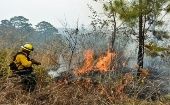 De los 187 incendios en la región del Petén, se han extinguido 120, quedando activos solo 67.