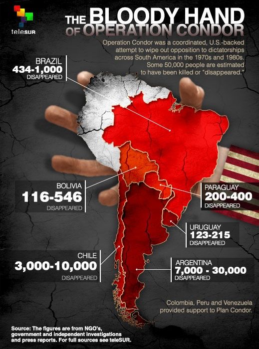 Operation Condor Infographic