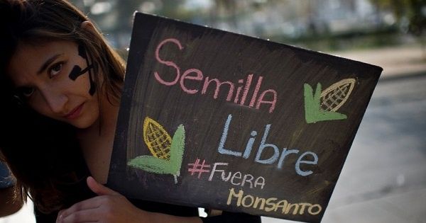 A woman holds a sign during a march against US agrochemical giant Monsanto on May 23, 2015, in Santiago, Chile.