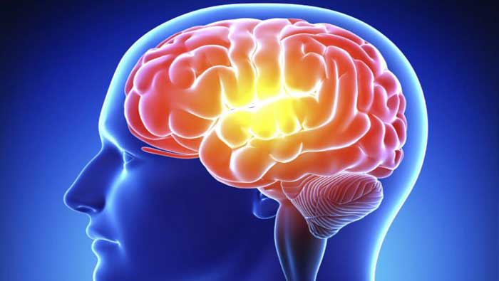 El cerebro activa neuronas para impedir cualquier aprendizaje repetido